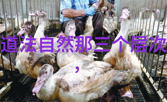 女人开悟后的身体特征她眼中的光芒照亮了每一寸肌肤的深处
