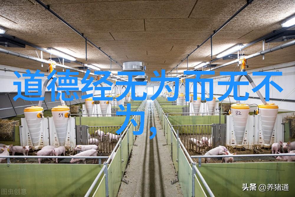探寻灵缘之谜天赋异禀的自我觉醒