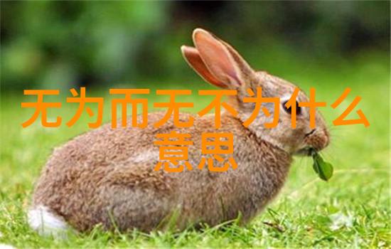 道家的为人处世之道顺应天地淡泊明志