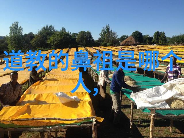 翠微山庄宋代道家秘密图谱