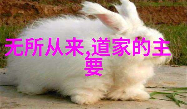 如何理解道家的知足常乐在当今快节奏生活中该如何实践