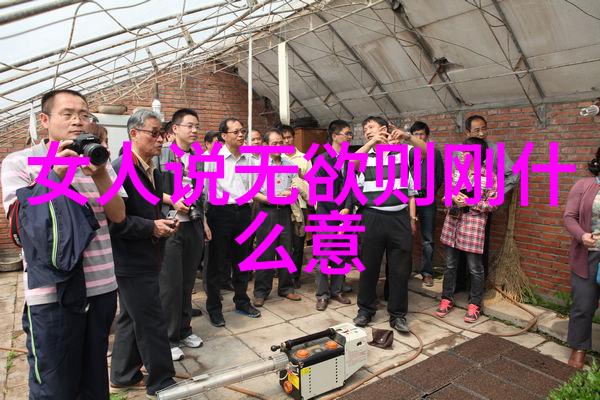 道家学派人物穿梭古今的智者与隐士