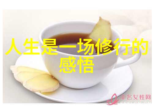 道德经古言新语智慧的永恒光芒