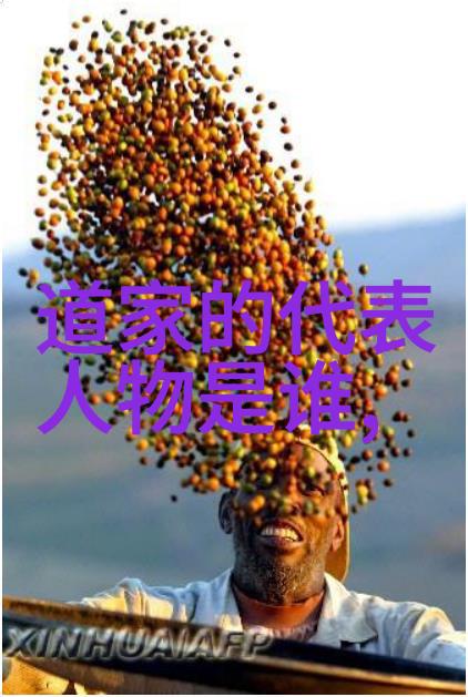 探索国粹一二三产区蘑菇产业的奇妙世界