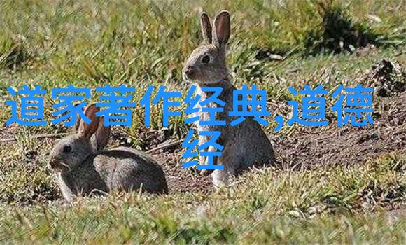 天人合一的智慧评估周易的文化价值与影响力