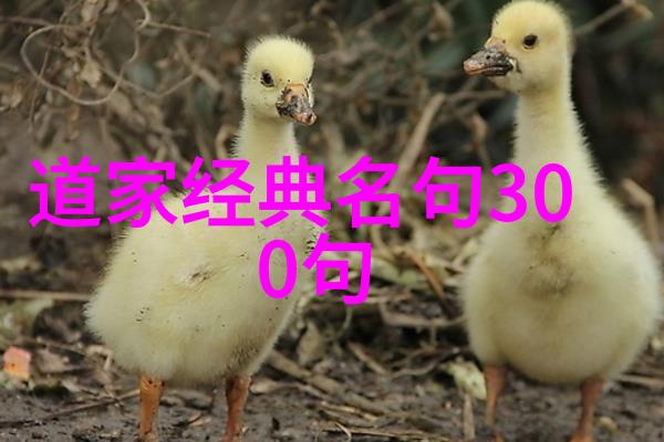 书法作品楷书毛笔字我手捧毛笔绘就的墨韵时光