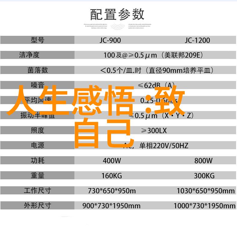 强者的内心世界无欲则刚的女性精神探究