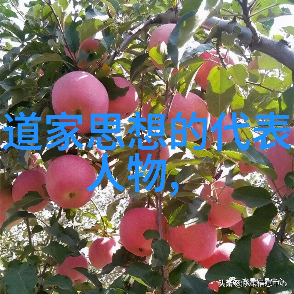 天庭变迁追溯历代玉帝的更替与神话