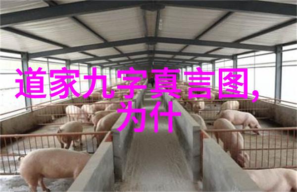 寻道者如何一路人学成术士