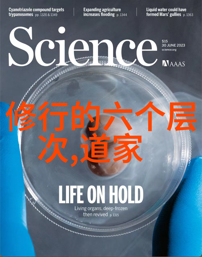 天界秘录道教老祖排名之谜