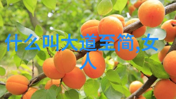 活出无不为现代人的心灵追求