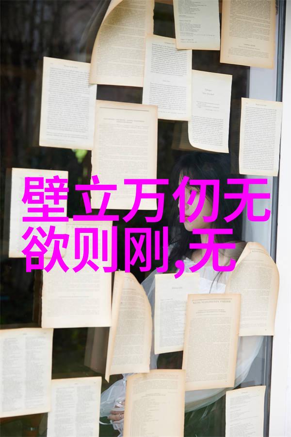 双翼齐飞两个人一前一后的力量协同效应