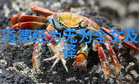 陈寅恪文化批评的先驱