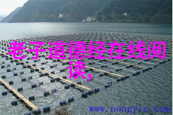 他的礼物小说免费阅读-无尽的故事探索他的礼物免费小说世界