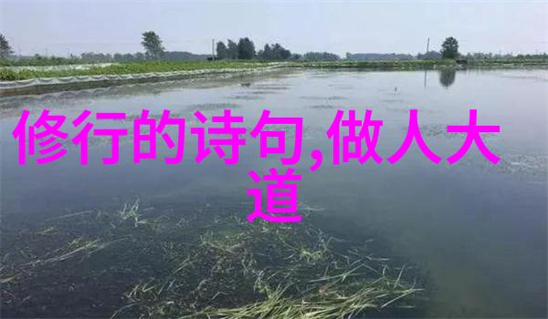 道家智慧的守护者从老子到张三丰探索中国道教的代表人物