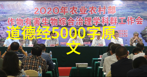 无尽可能却选择了安稳一个真实案例分析无欲女人的选择背后意味着什么