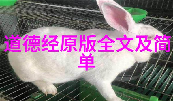 宋词中的爱情之美情深意长的诗篇