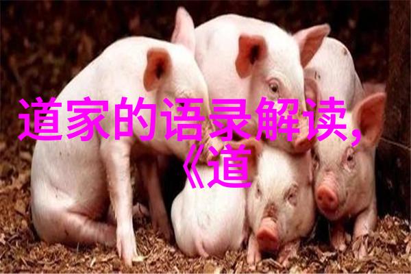 道家法术的自学之路探索内在力量与修炼技巧
