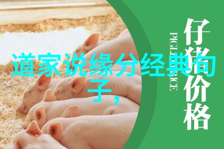 道教修炼之路探索中国古代哲学与宗教的深邃世界