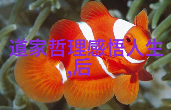 道德经精髓3个字我心得体会简简单单