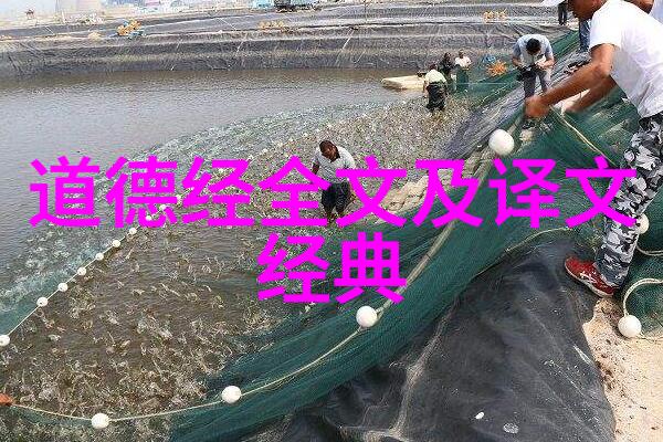 引雷诀手势掌握这套招式你就能像我一样打败敌人了
