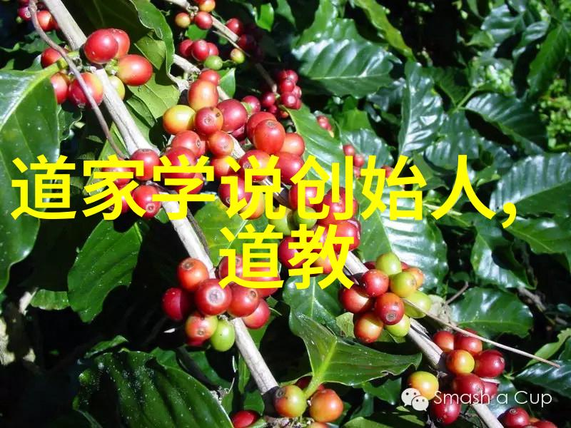 南华真经注疏卷之二十一我行其野的人物解析