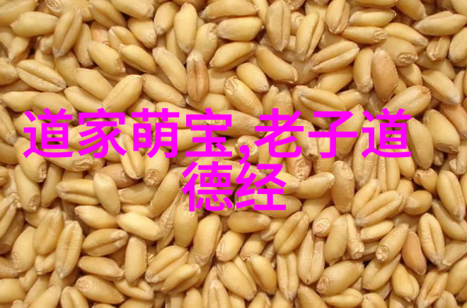 古代智者辉煌儒墨道法的哲学探索