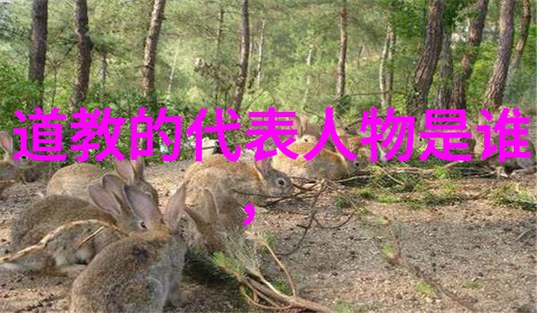 文人墨客的艺术追求书画印章的精髓与魅力