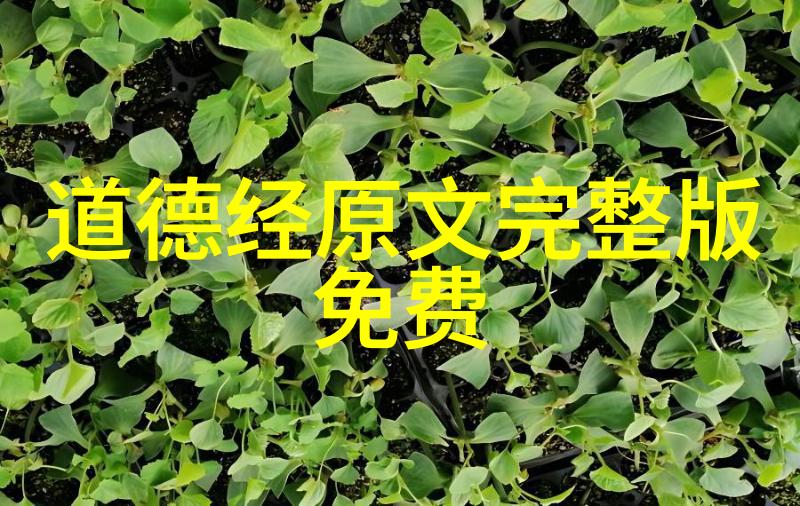 深入解析大道至简之谜如何洞悉复杂背后的精髓