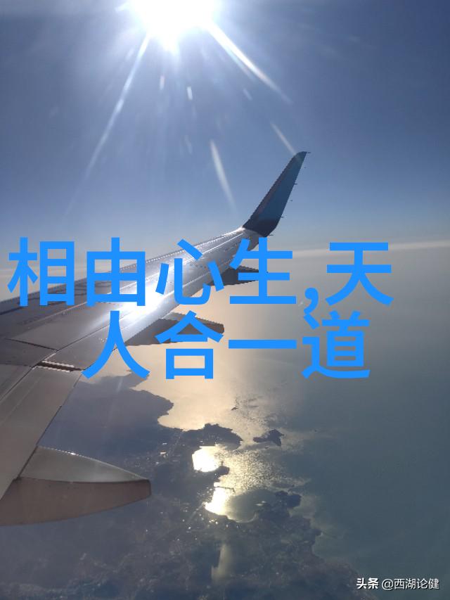 无为和有为哲学的差异探究理解中国古代智者的生活态度