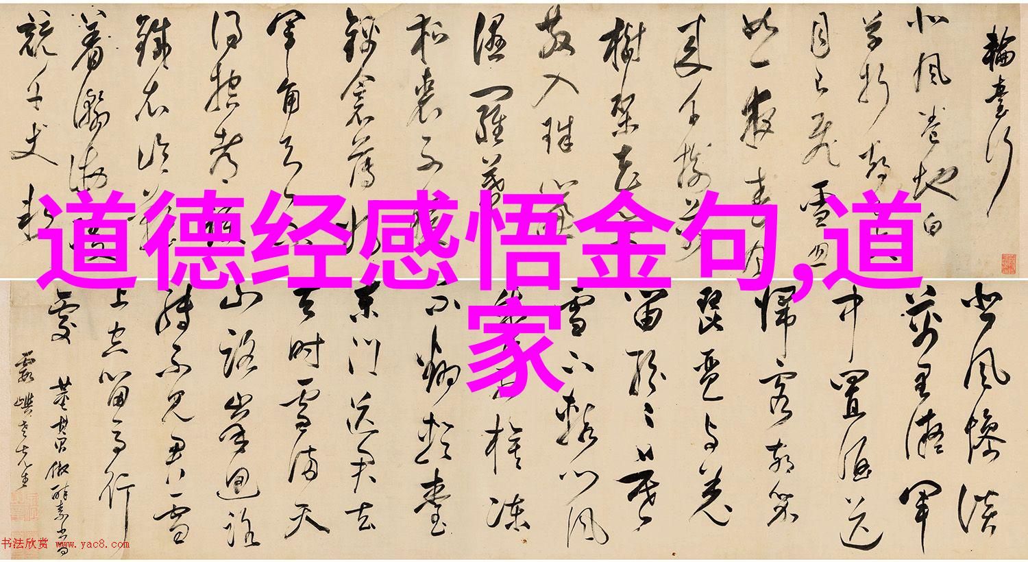 感情里无欲则刚的女人她的力量在于内心的坚定与不屈