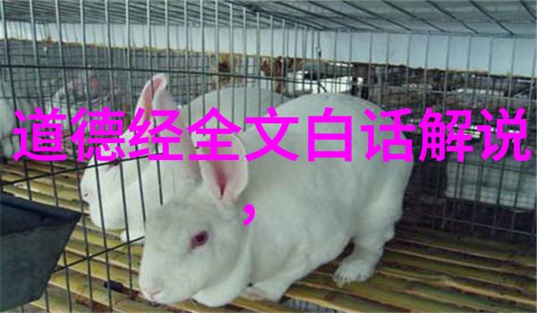 道家呼吸吐纳法(完整版)-通幽养寿深入探索道家呼吸吐纳法的奥秘