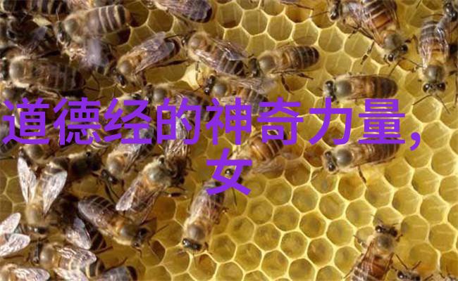 心灵的铸造探索修心诗句的哲理与力量