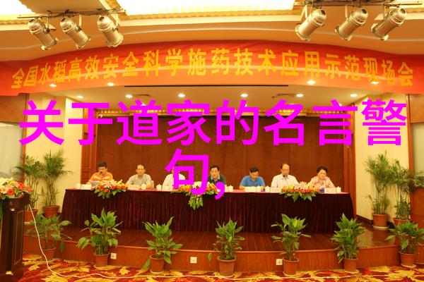 道家经典文案我行我素如何在现代生活中融入道家的智慧