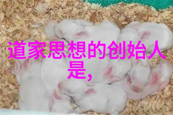 百合CP的绚烂故事从相遇到永恒