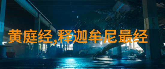 道家修炼与哲学精髓十本入门书籍指南道家入门必看书籍推荐