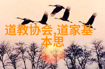 从容不迫的心理状态女人如何在无欲中找到力量的来源