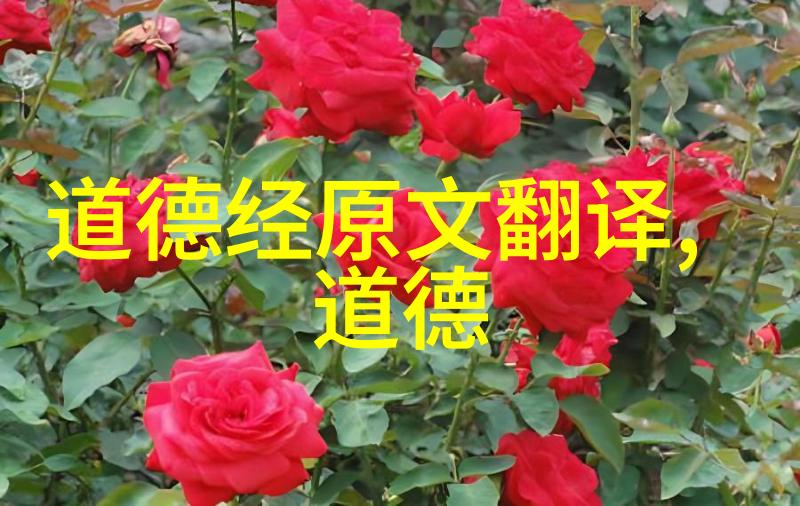 如果一个普通人想要尝试一次性达成开悟这个过程可能需要多长时间