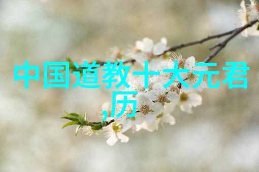 老子的道德经二年级智慧生活指南