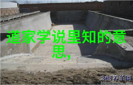 情感的刚硬探索无欲则刚的哲思