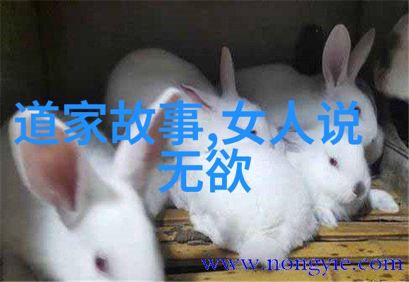 仙踪林欧洲RAPPER的数字音乐奇迹