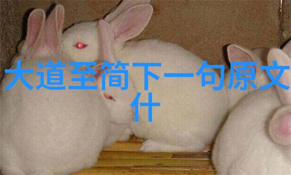 简约生活复杂心灵道家的美学视角