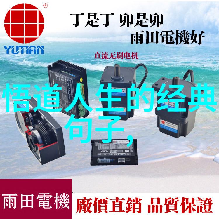 幽默的深度揭秘网络梗背后的文化智慧