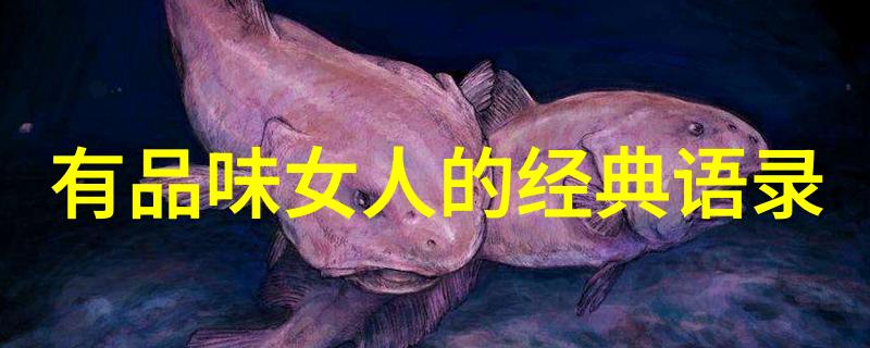 道家哲学的奥秘探索自然和内心的和谐