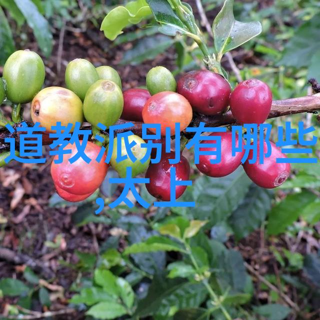 庄子无为有为哲学深度探究庄子的自然之道与现世智慧