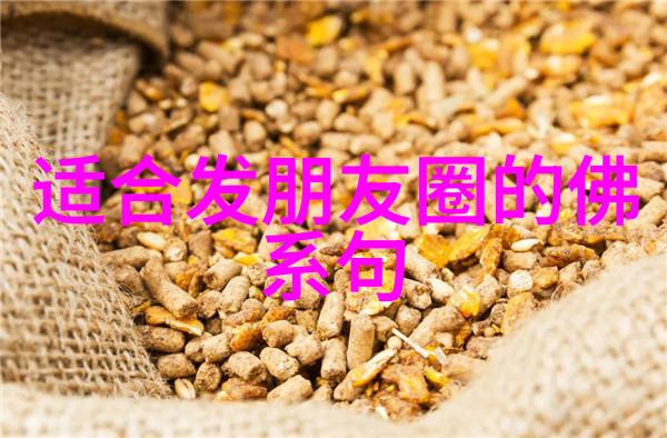 如来的秘密我说的真相与否认