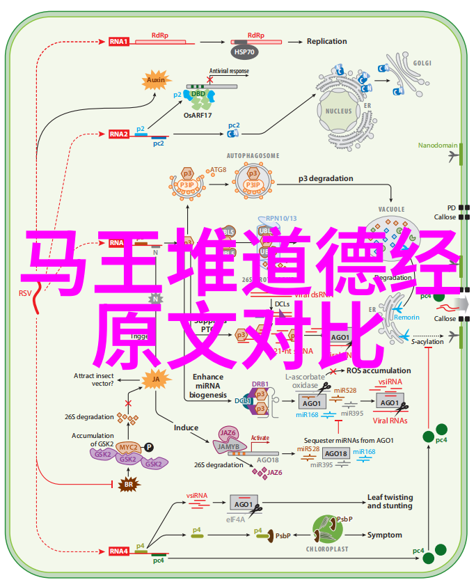 辟邪剑谱背后的历史故事又是怎样的展开