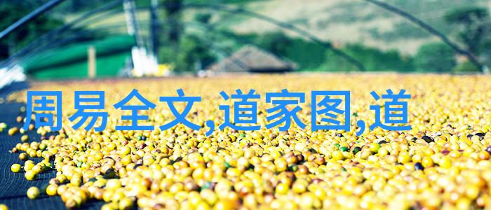 心灵之旅24字静心口诀内在宁静的力量