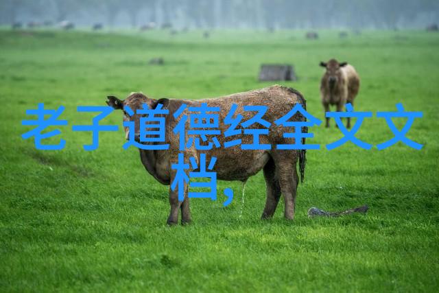 修行不愿透露的秘密我始终在默默探寻的路上