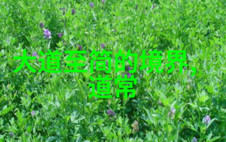 四大菩萨谁最厉害探秘他们的力量与智慧